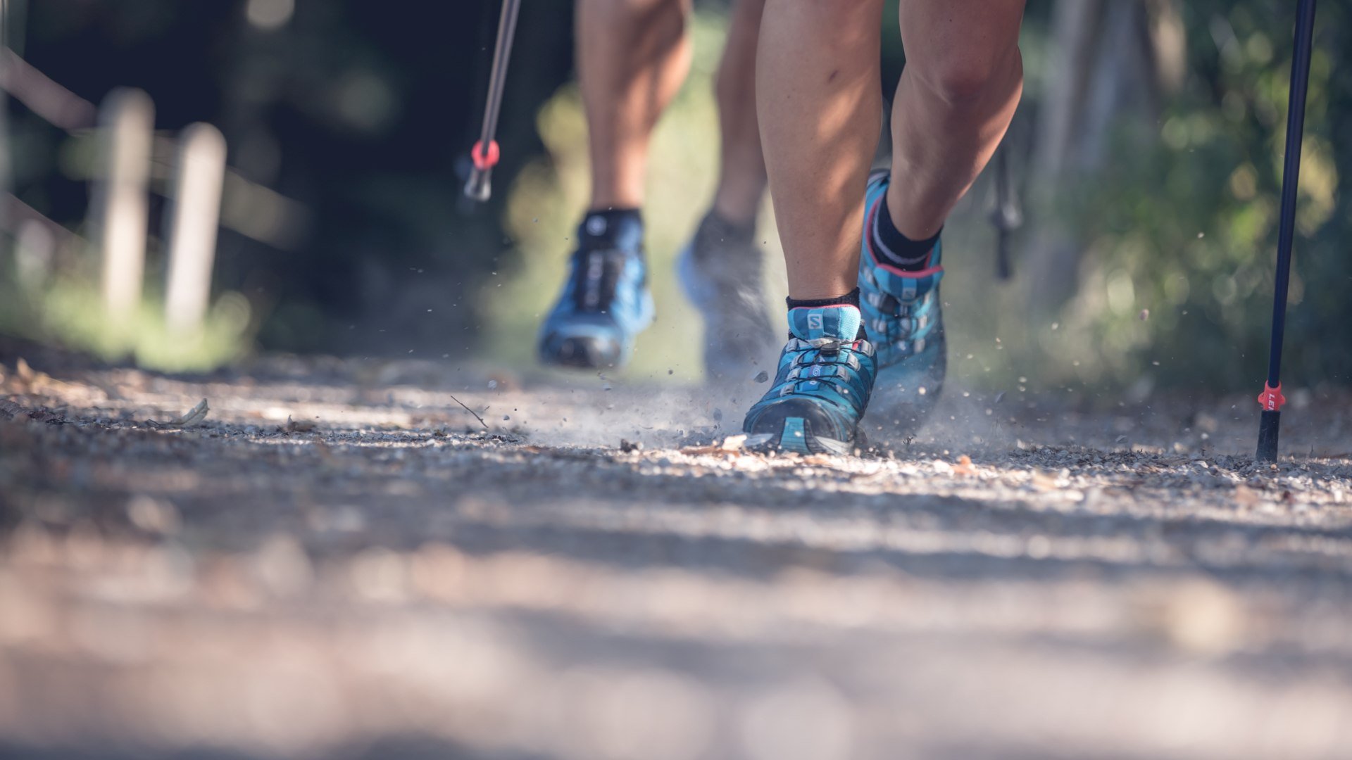 Nordic-Walking, © Hansi Heckmair