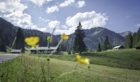 Die Schwarzentenn-Alm, © Der Tegernsee