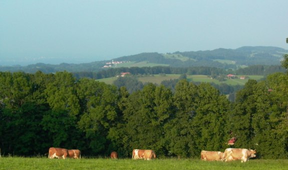 Blick vom Stadlberg, © Alpenregion Tegernsee Schliersee