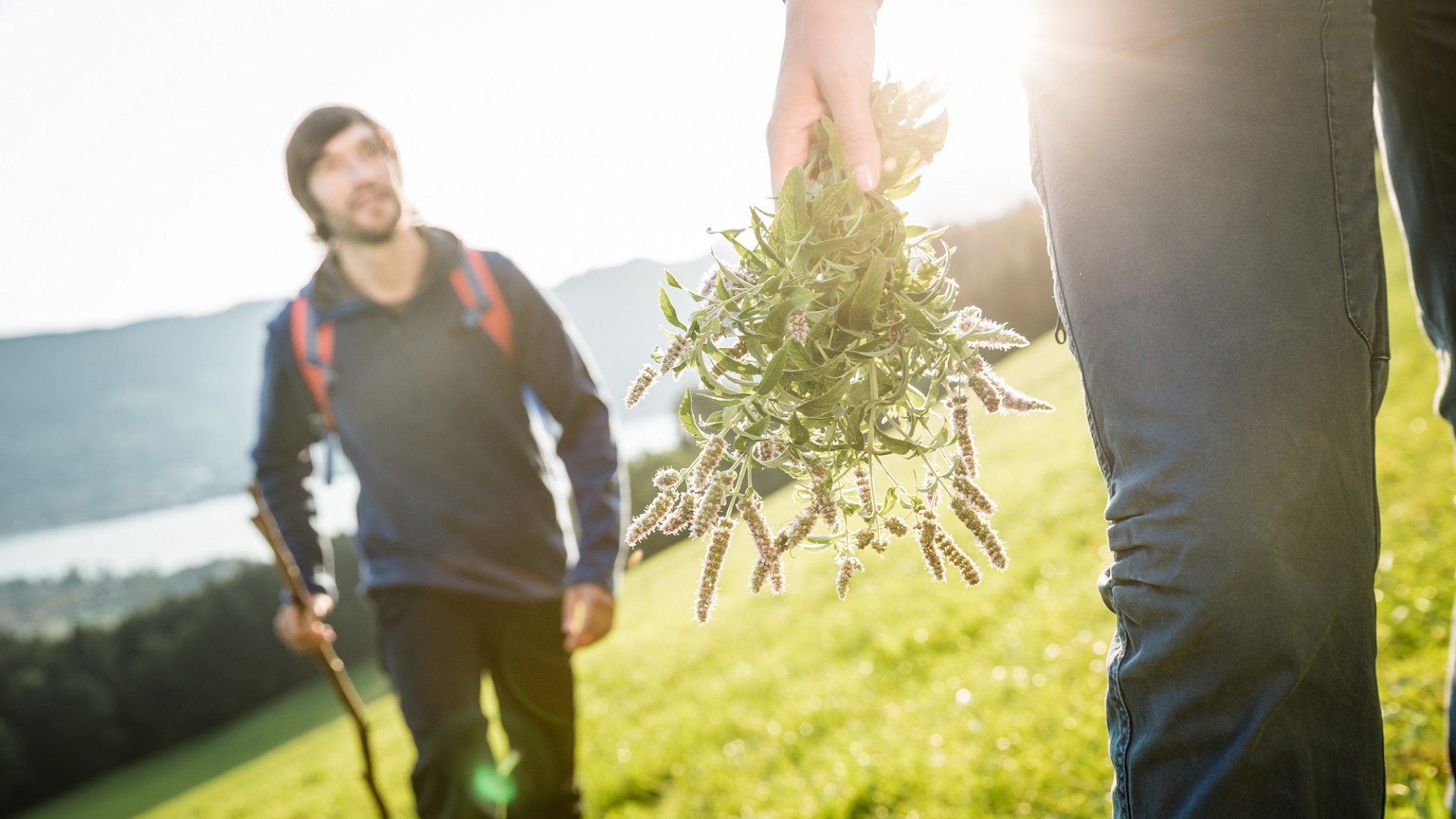 Kraeuterwanderung © Der Tegernsee_Hansi Heckmair (2), © Hansi Heckmair