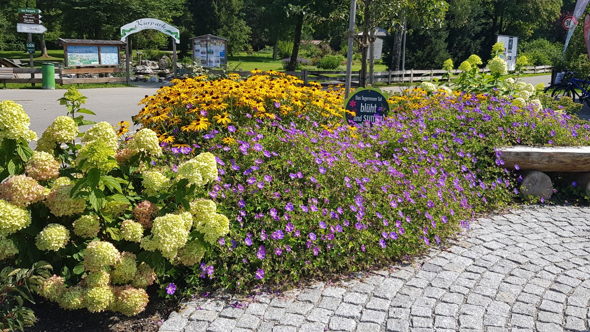 Blühwiese am Trinkbrunnen in Kreuth, © kimpfbeck