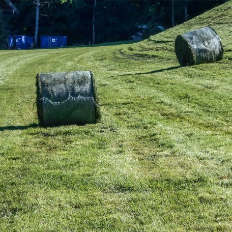 bei der Ernte im Sommer, © im-web.de/ Tourist-Information Bad Wiessee