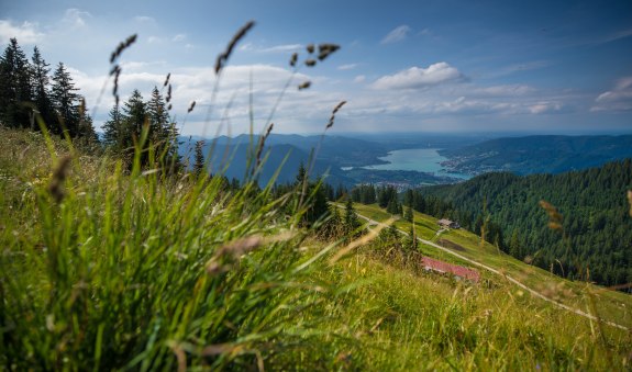 TTT_0919_HH_Aktiv_Setzberg_0002, © DER TEGERNSEE