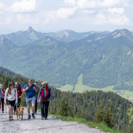 NK_Aktionstag Almwanderung © Thomas Plettenberg_5579, © DER TEGERNSEE