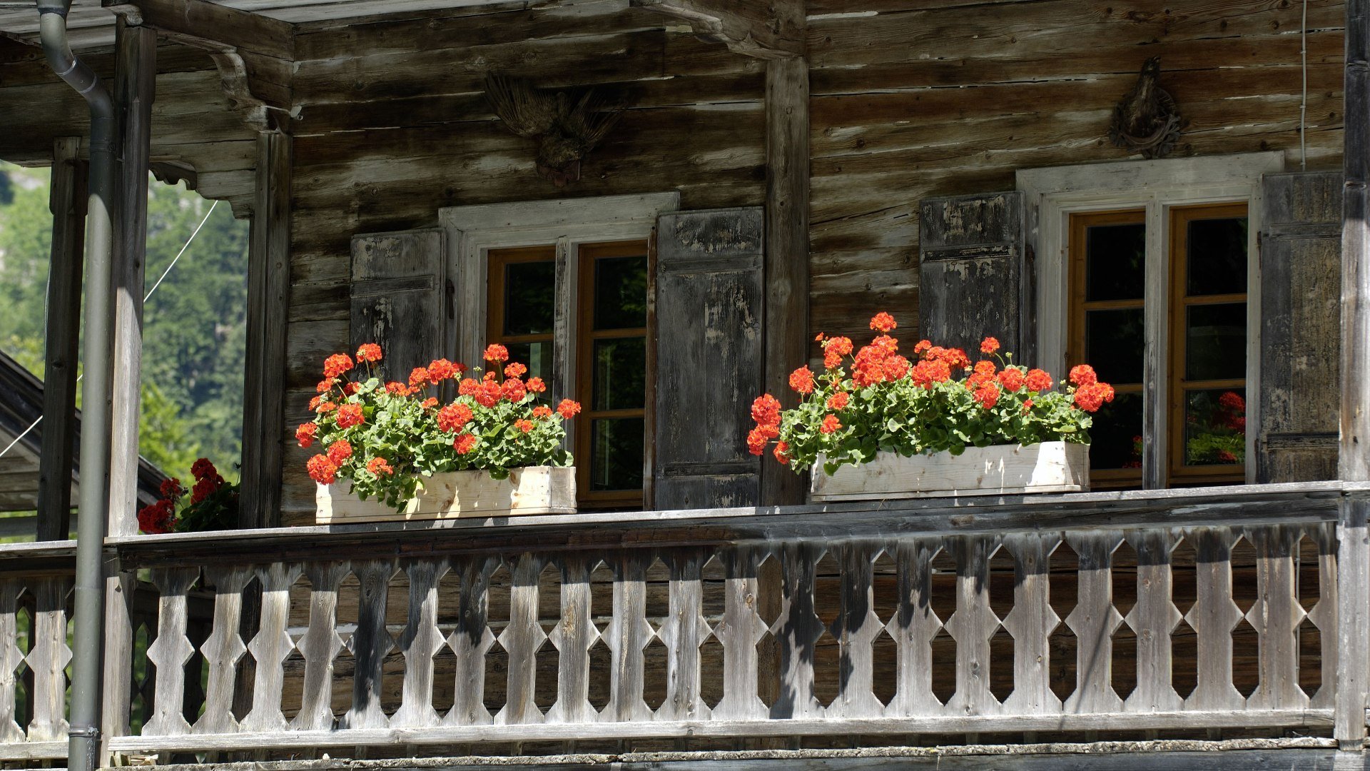 Gastgeberbalkon in Kreuth, © Wolfgang Ehn