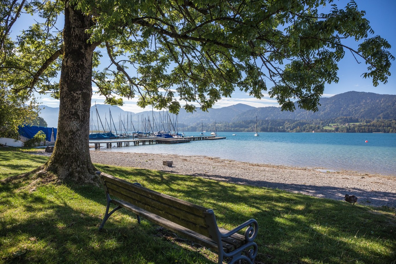 Blick auf den See, Gmund Seeglas, © Alpenregion Tegernsee Schliersee