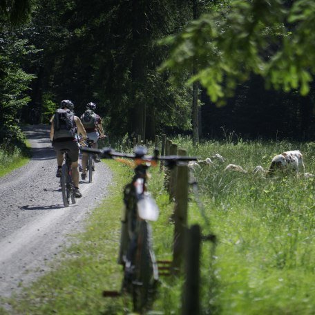 Auf dem Weg zur Schwarzentenn-Alm, © ©Der Tegernsee, Dietmar Denger