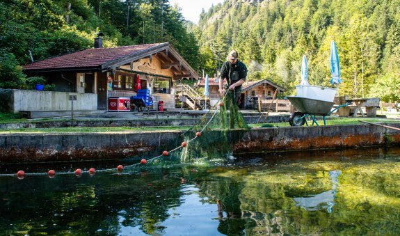 Herzoglische Fischerei_Kreuth-0228, © Der Tegernsee (Thomas Plettenberg)