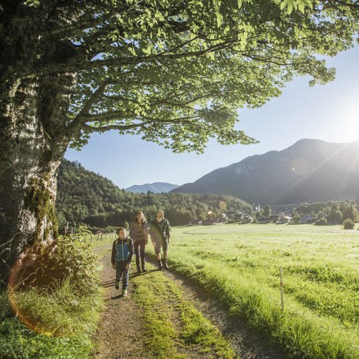 Familie wandert in Kreuth, © Hansi Heckmair