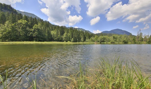 Suttensee, © DER TEGERNSEE