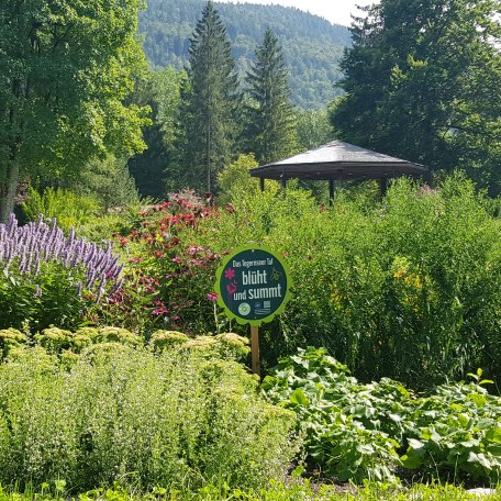 Blühwiese im Kurpark Kreuth, © Kimpfbeck