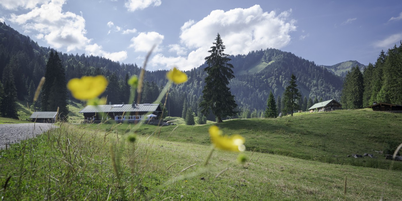 Schwarzentennalm, © DER TEGERNSEE