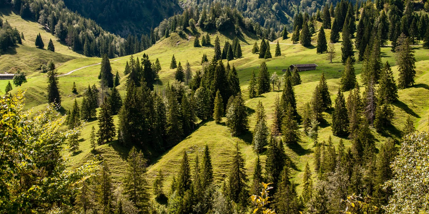 Natürlich! Kreuth. Almwanderung, © DER TEGERNSEE