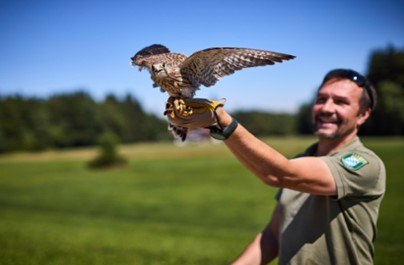 Rangerführung, © Alexander Römer