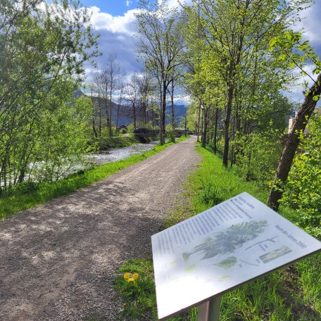 Baumpfad Rottach-Egern, © DER TEGERNSEE