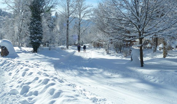 Kurpark Kreuth - Loipe Kreuth-Wildbad Kreuth, © Tourist-Information Kreuth