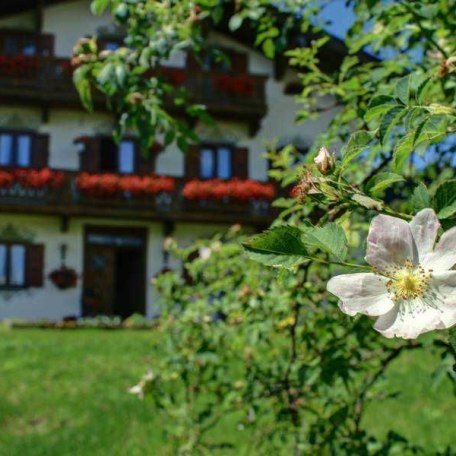 Natur pur, © im-web.de/ Tourist-Information Bad Wiessee