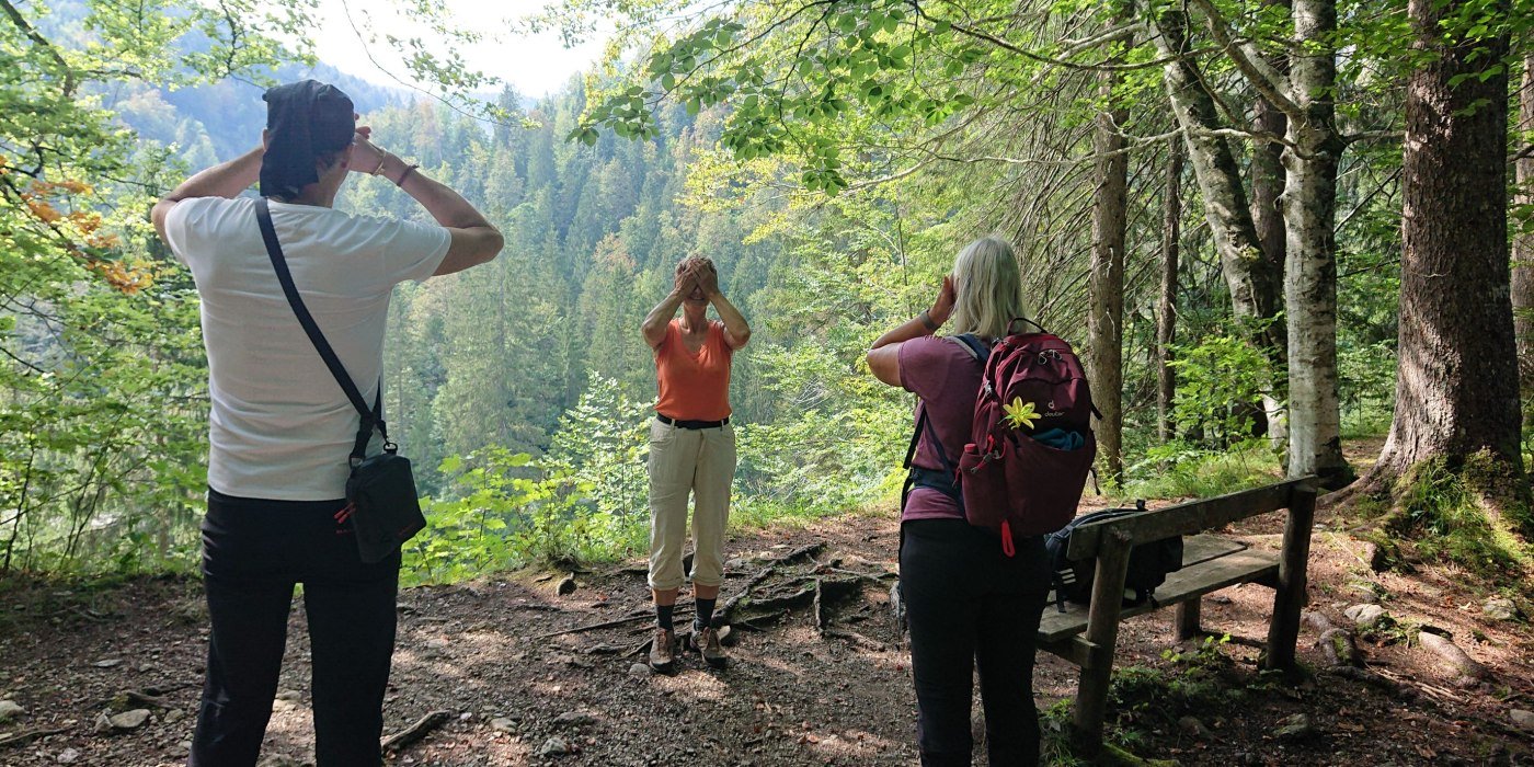 Augenwandern, © Sabine Nagl