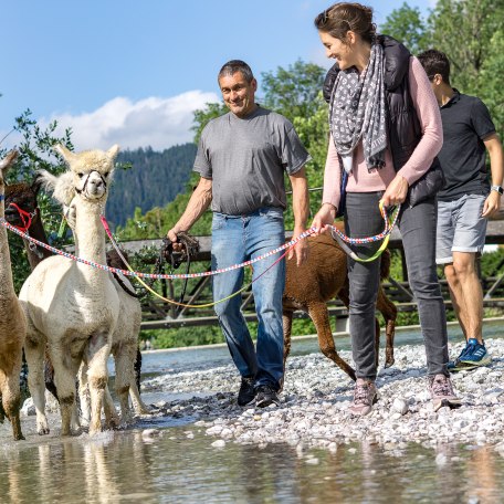 Alpaka Wanderungen am Tegernsee, © Der Tegernsee