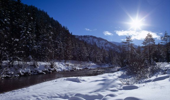 Winter-Weissachauen