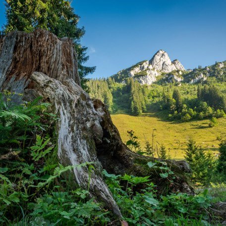 Kreuth und Umgebung - Natur pur, © im-web.de/ Tourist-Information Kreuth