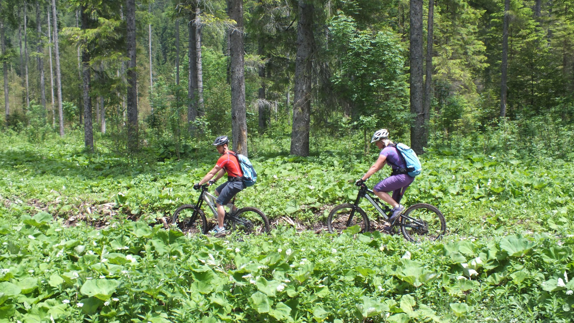 mountain_bike_tour