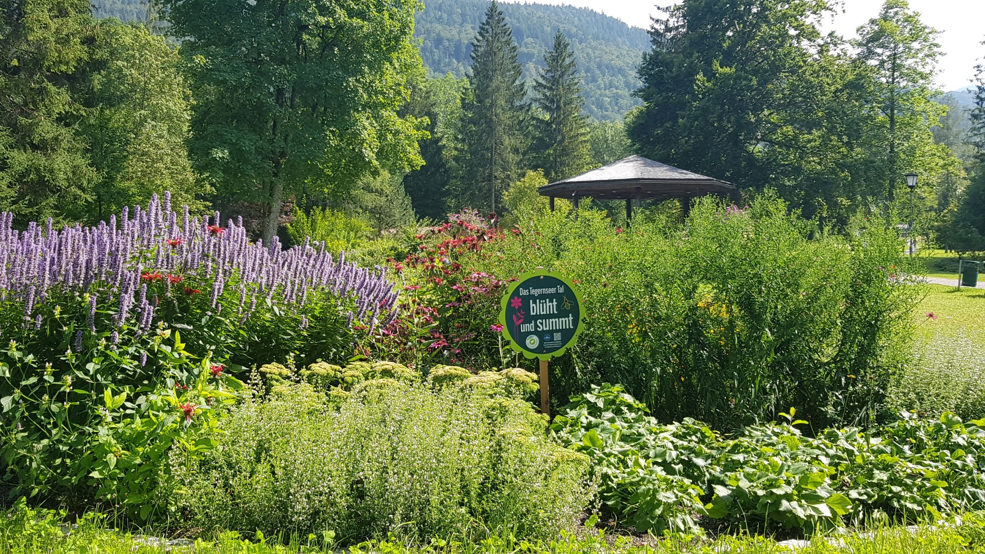 Blühwiese im Kurpark Kreuth, © Kimpfbeck