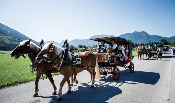 Rosstag 2024, © Der Tegernsee (Hansi Heckmair)