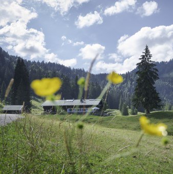 Die Schwarzentenn-Alm, © Der Tegernsee