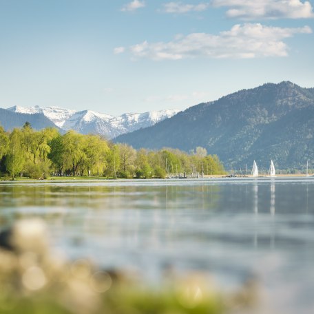 fruehling-am-tegernsee-in-bayern-der-tegernsee-dietmar-denger, © Dietmar Denger