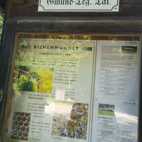 Lehrbienenstand_Gmund_11, © DER TEGERNSEE I. Munstermann