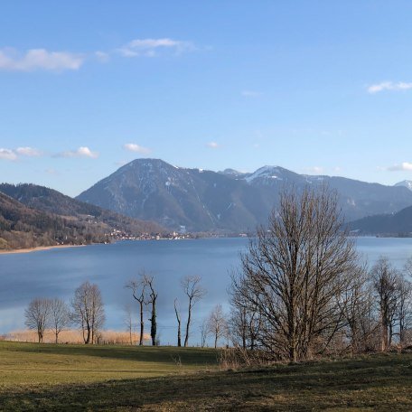 Blick von Kaltenbrunn Richtung Wallberg, © im-web.de/ Tourist Information Tegernsee