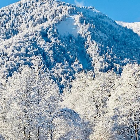 Blick zum Wallberg, © Foto Lisa Seifert