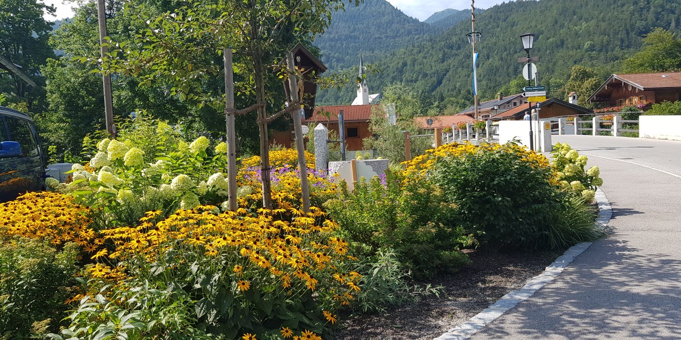 Blühwiese am Trinkbrunnen in Kreuth, © kimpfbeck