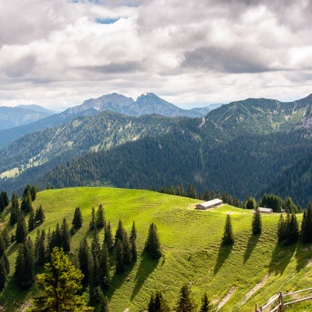 NK_KeyVisual_Aktionstag Almwanderung © Sabine Ziegler-Musiol_0061, © DER TEGERNSEE