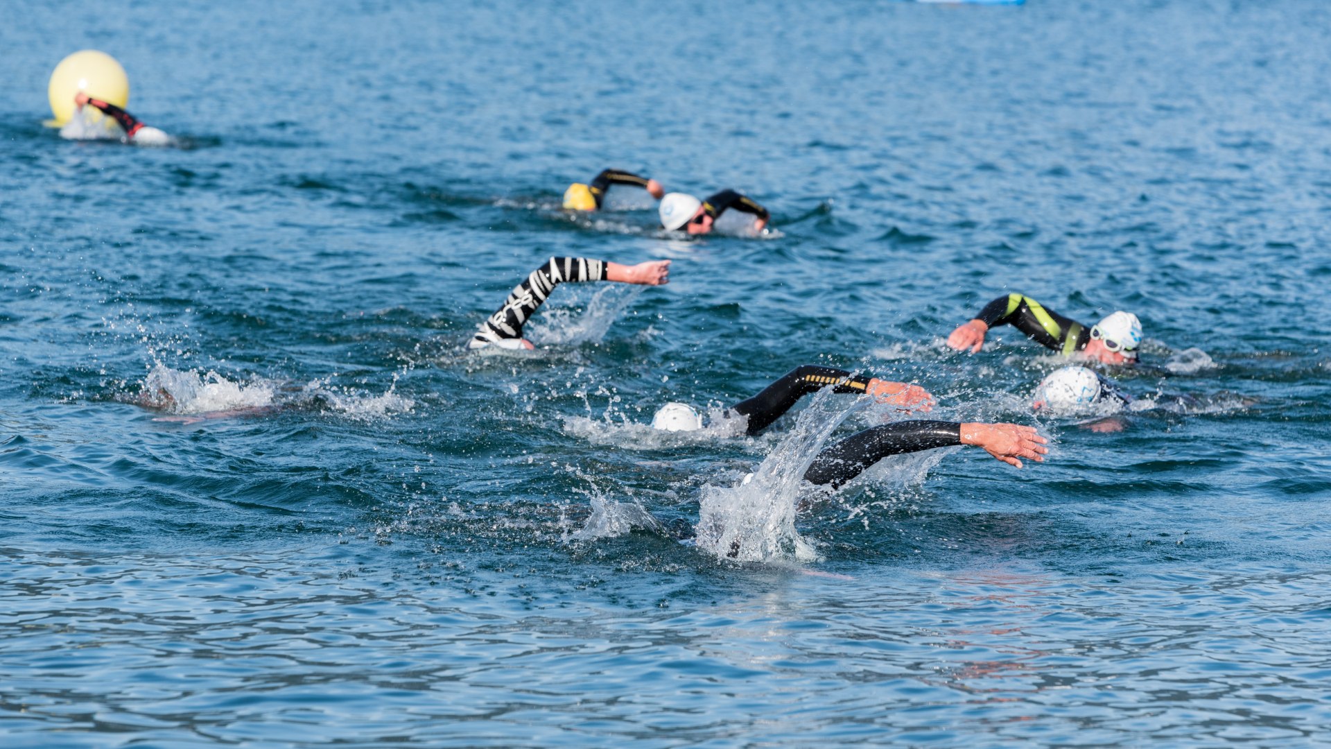 20180909-_mig7616tegernseelangstreckenschwimmen2018_2