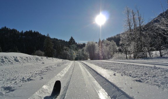 Skilanglaufschule Powderworld, © Skilanglaufschule Powderworld