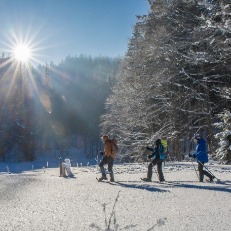 Schneeschuhtour, © Der Tegernsee, Christoph Schempershofe