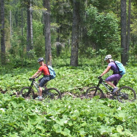 mountain_bike_tour