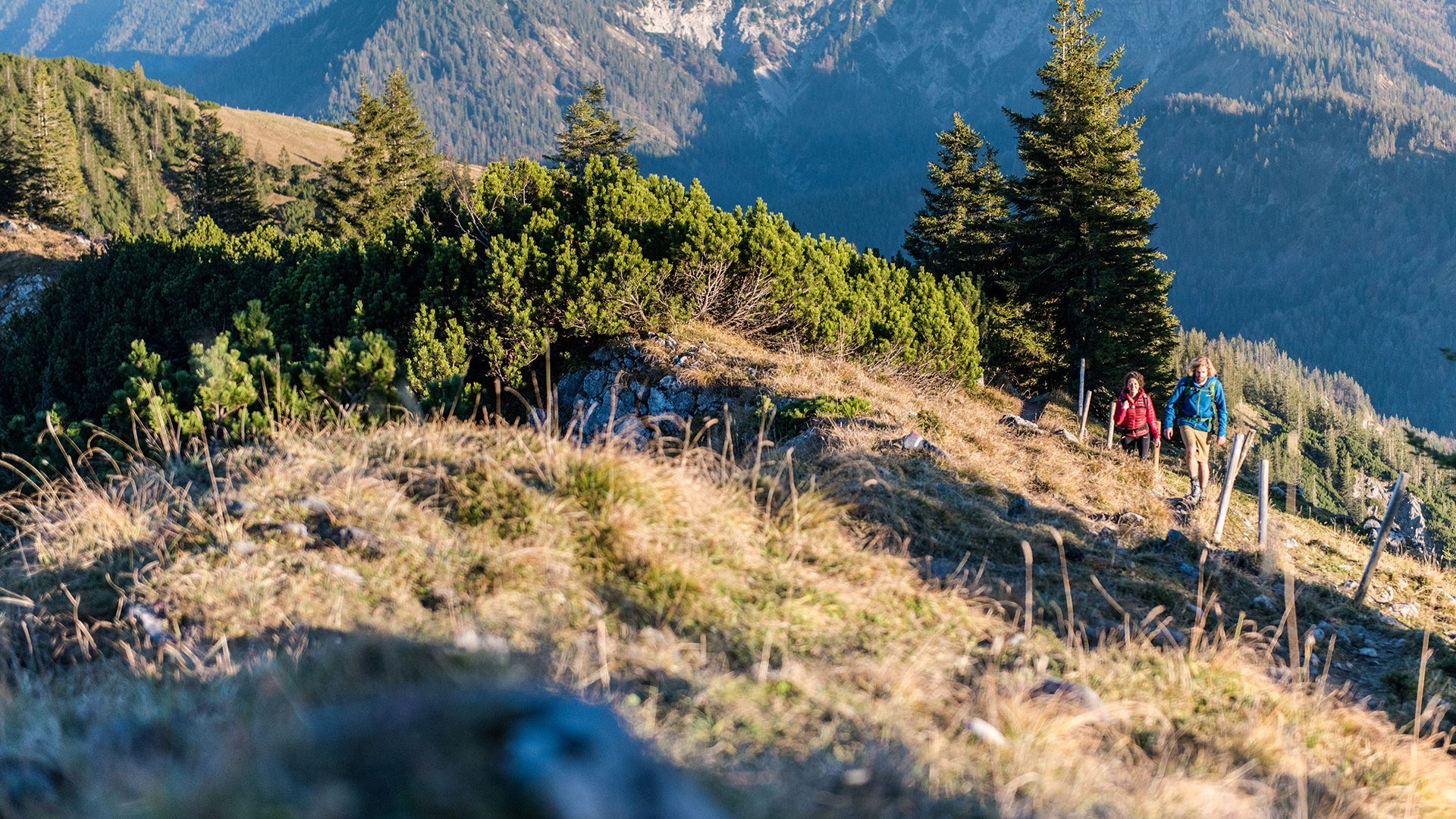 Auf die Gipfel der Tegernseer Berge, © Julian Rohn